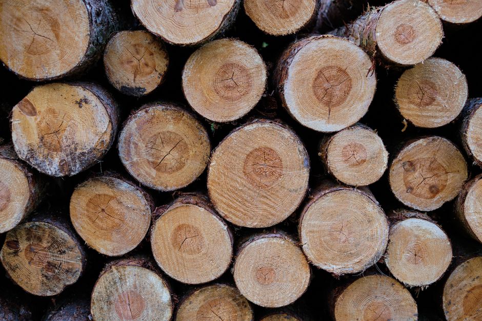 normalizar logs
